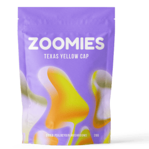 Texas Yellow Cap | Magic Mushroom Dispensary Canada