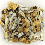 Orissa | Magic Mushroom Dispensary Canada