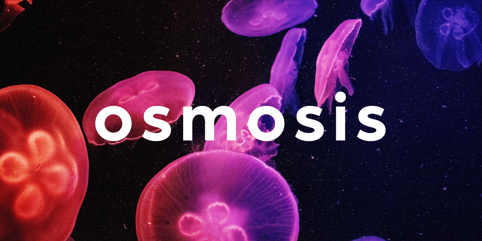 Zoomies osmosis banner | Magic Mushroom Dispensary Canada