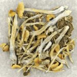 Trinity | Magic Mushroom Dispensary Canada