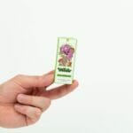 Wonder – Psilocybin Chocolate Bar – Dark Chocolate | Magic Mushroom Dispensary Canada