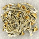 Hautla | Magic Mushroom Dispensary Canada