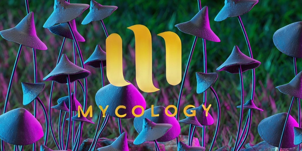 Zoomies Summer 2023 Banner - Mycology | Magic Mushroom Dispensary Canada
